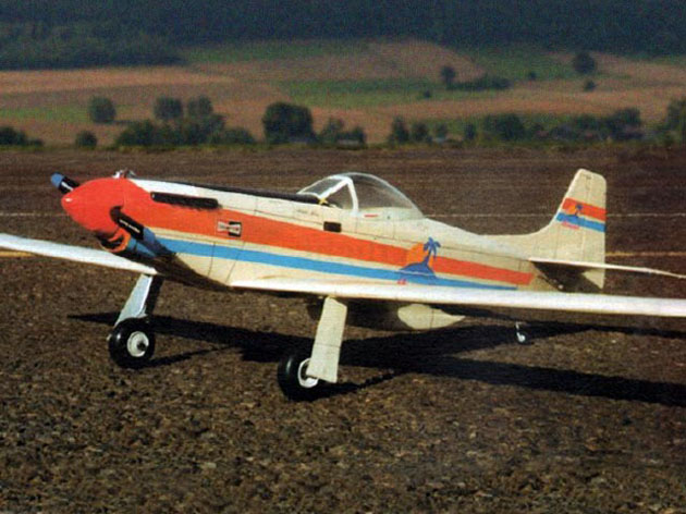 Eee-Z-Fli P-50+1