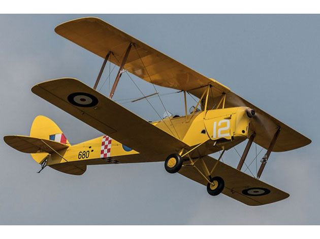 Tiger Moth