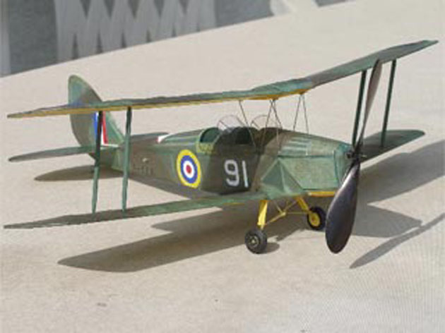 Tiger Moth