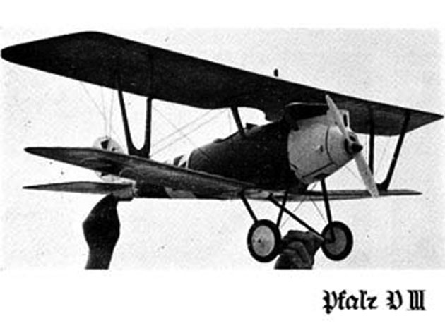 Pfalz DIII
