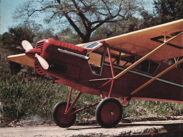 Curtiss Robin