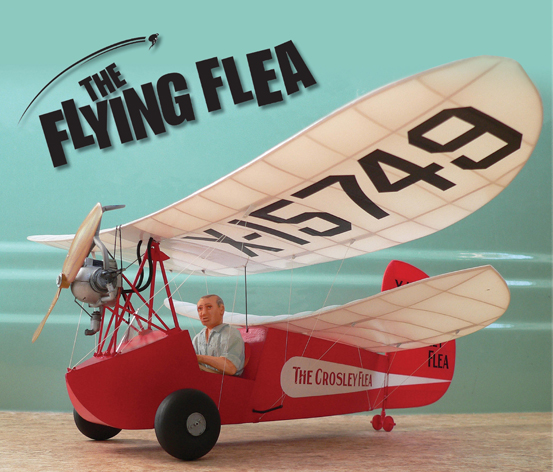 Flying Flea